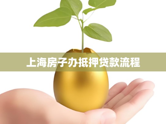 上海房子办抵押贷款流程