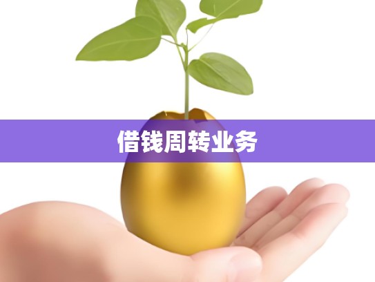 借钱周转业务