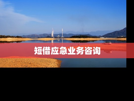 短借应急业务咨询